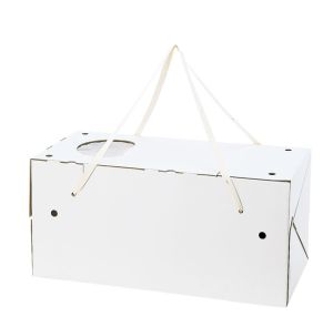BK000605-ZZZc