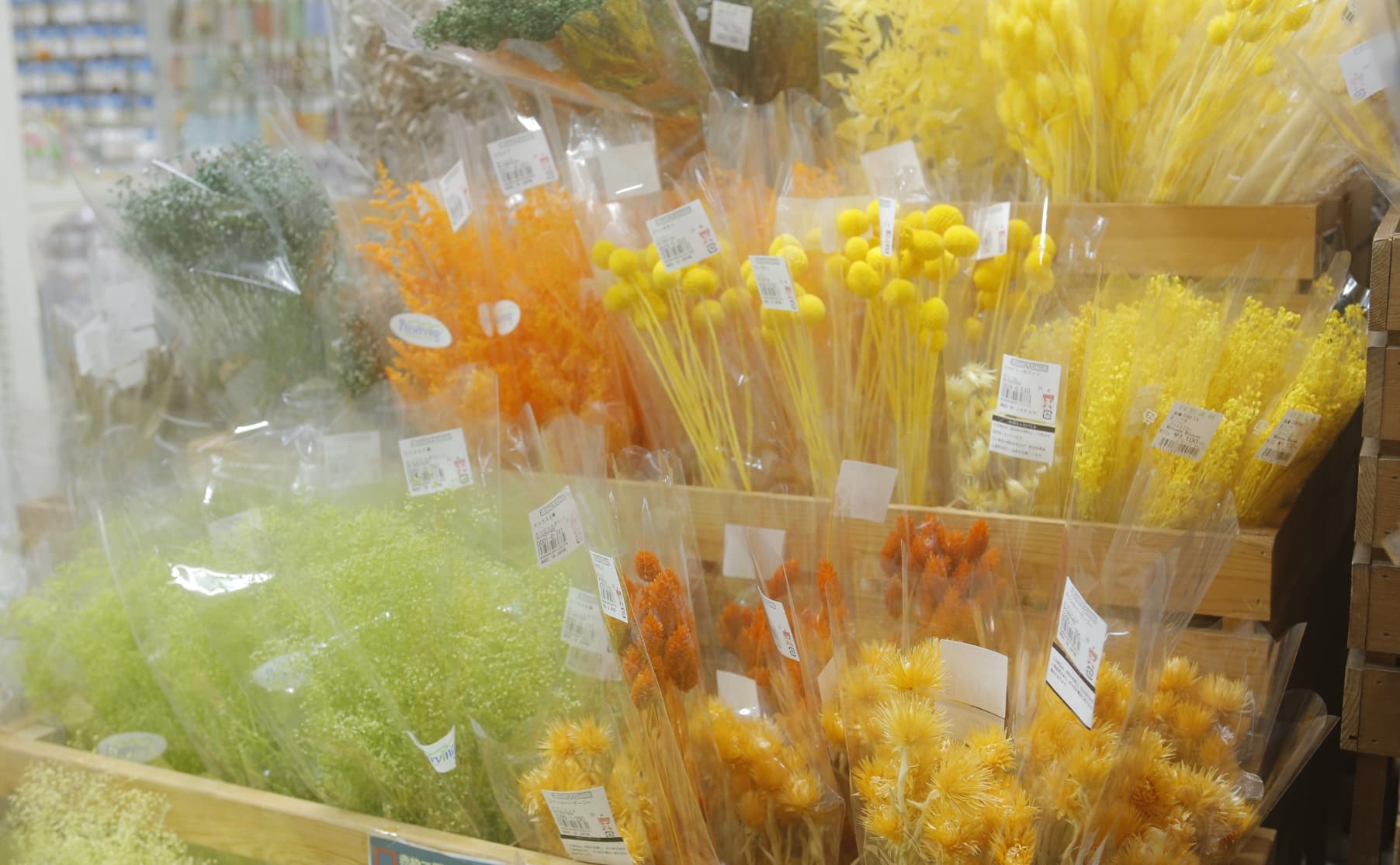 ドライフラワー