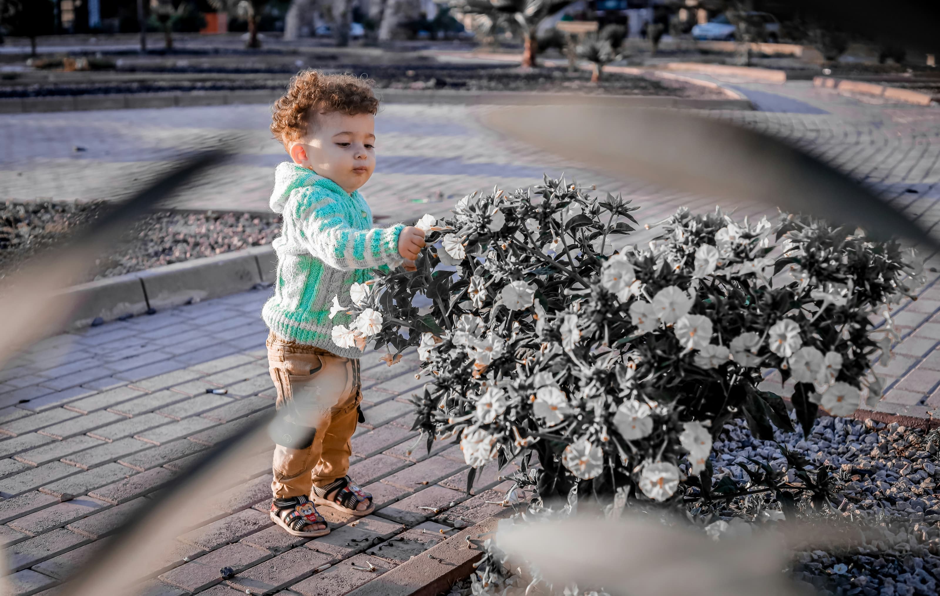 サンエイクラフトの業務内容